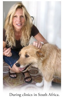 Debra Campbell, D.V.M. Practice Owner Debra Campbell, D.V.M. Practice Owner