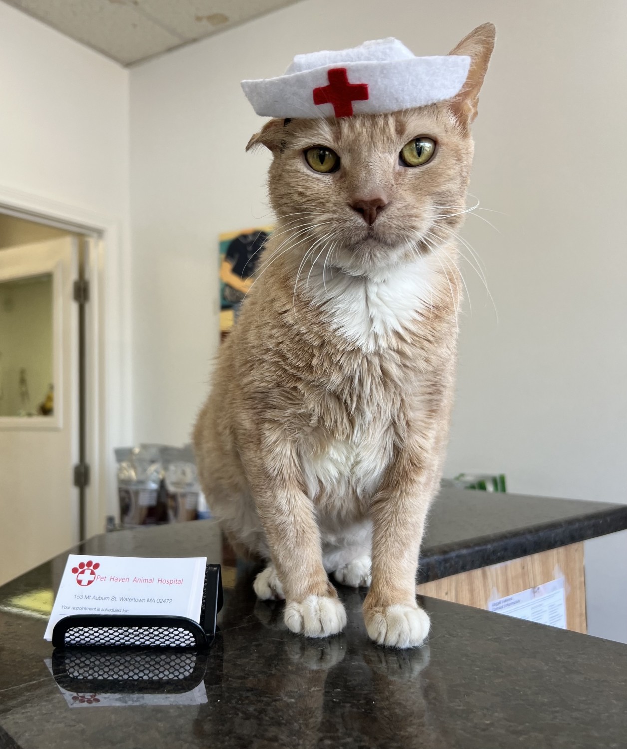 Max - Nurse/Office Manager